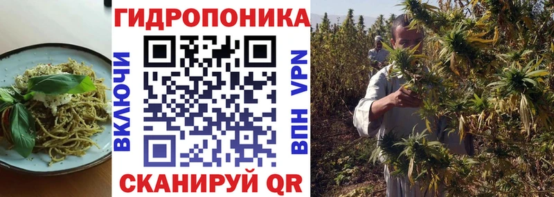 OMG tor  Азнакаево  Еда ТГК конопля 