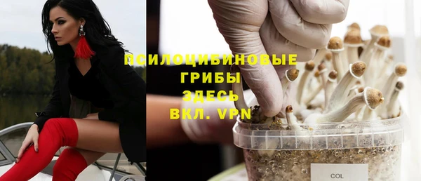 гашик Алзамай