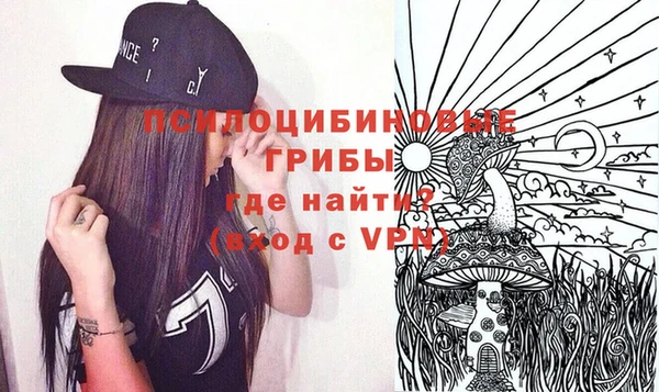ПСИЛОЦИБИНОВЫЕ ГРИБЫ Алексеевка