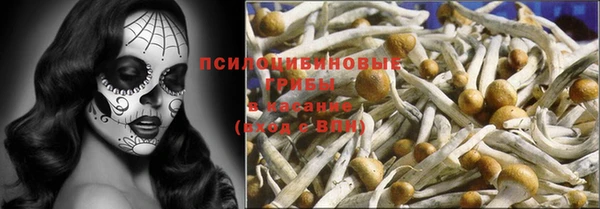 ПСИЛОЦИБИНОВЫЕ ГРИБЫ Алексеевка